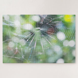 Rompecabezas de foto de telaraña