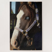 Rompecabezas de Fotografía de Caballo Rústico - Fo