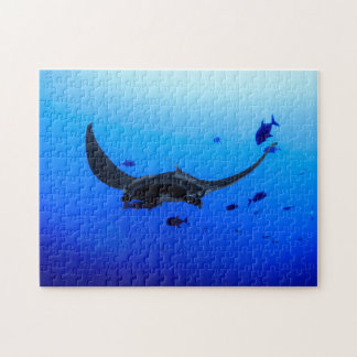 Rompecabezas de fotos de Black Manta Sting Ray