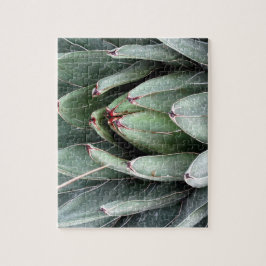 Rompecabezas de fotos de la planta verde con caja 