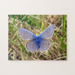 Rompecabezas de fotos de mariposa azul común con c