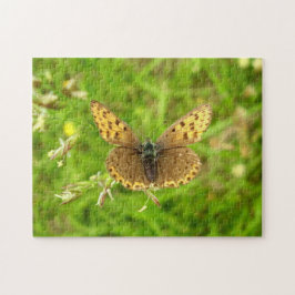 Rompecabezas de fotos de mariposa de cobre de bord
