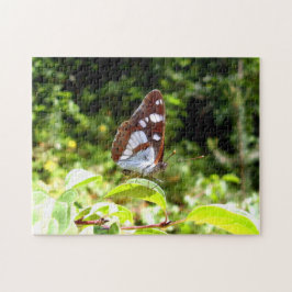 Rompecabezas de fotos de mariposa en almirante bla