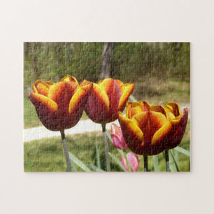 Rompecabezas de fotos de tulipanes rojos y amarill