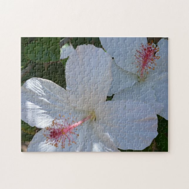 Rompecabezas de fragancia floral (Horizontal)