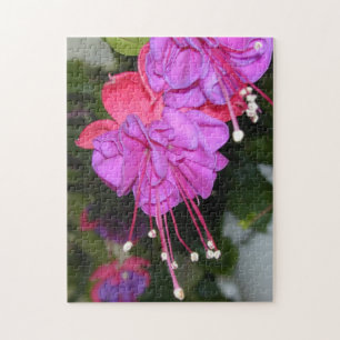 Rompecabezas de Fuschia de los corazones
