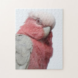 Rompecabezas de Galah