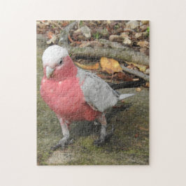 Rompecabezas de Galah