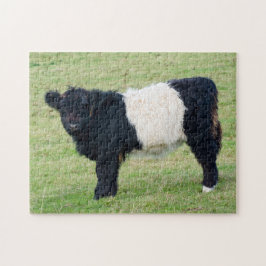 Rompecabezas de Galloway Calf Jigsaw