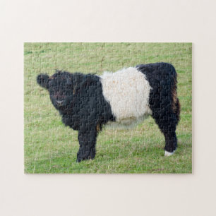 Rompecabezas de Galloway Calf Jigsaw