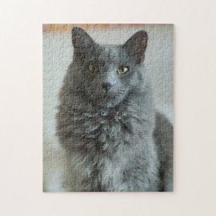 Rompecabezas de Gato Gris