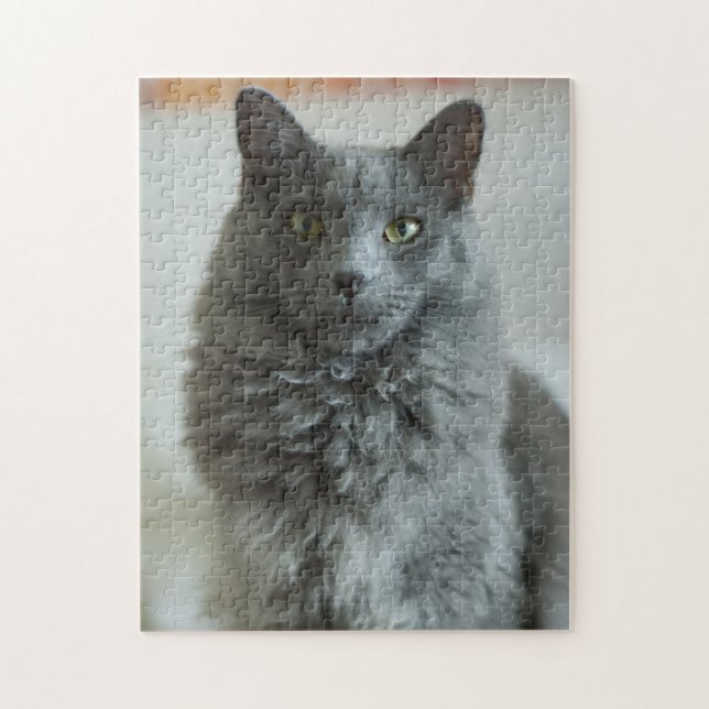 Rompecabezas de Gato Gris (Vertical)