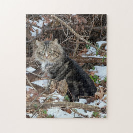 Rompecabezas de gato Maine Coon en el bosque