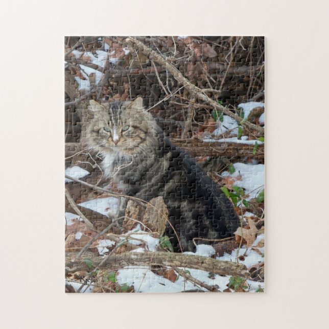 Rompecabezas de gato Maine Coon en el bosque (Vertical)