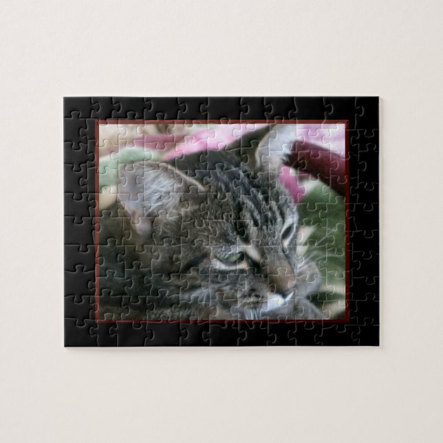 Rompecabezas de Gato Raya de Tigre (Horizontal)