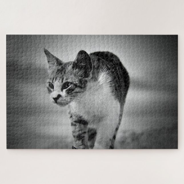 rompecabezas de gatos (Horizontal)