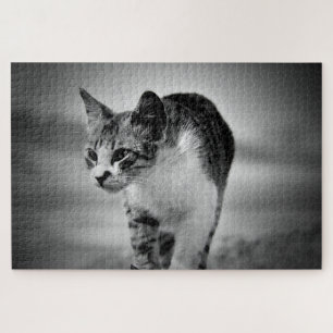 rompecabezas de gatos