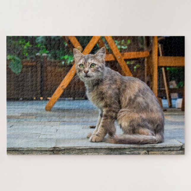 rompecabezas de gatos de patio (Horizontal)