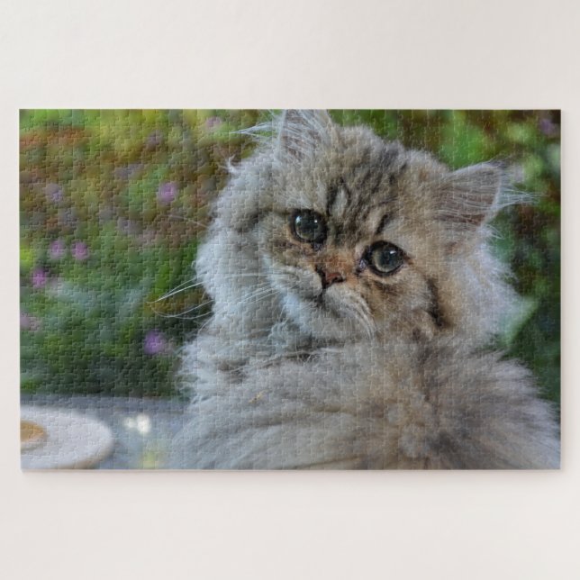 rompecabezas de gatos fluidos (Horizontal)