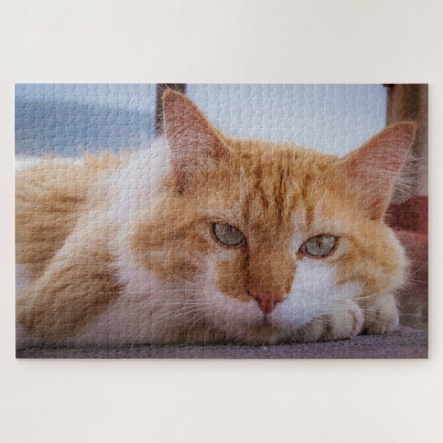 rompecabezas de gatos hipnóticos (Horizontal)