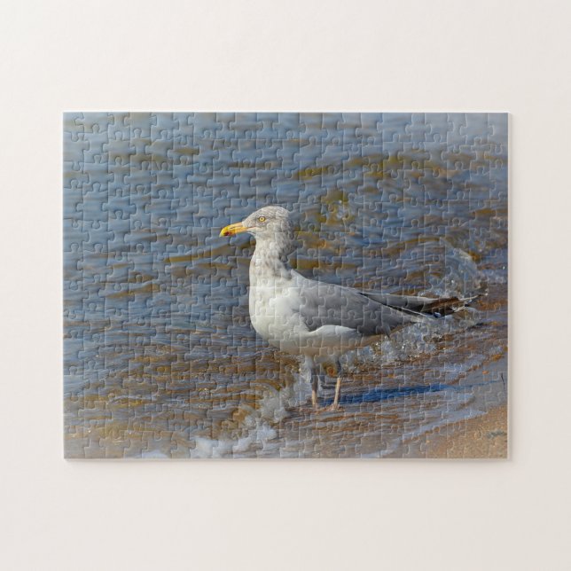 Rompecabezas de gaviota (Horizontal)