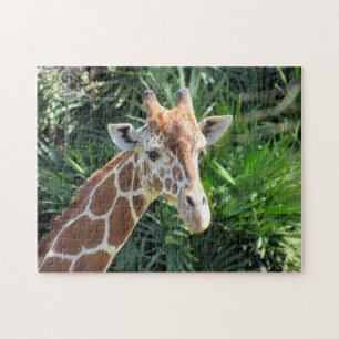 Rompecabezas de Giraffe