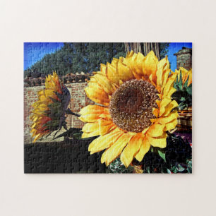Rompecabezas de Girasoles