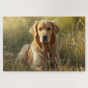 Rompecabezas de Golden Retriever