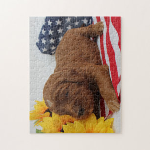 Rompecabezas de Goldendoodle