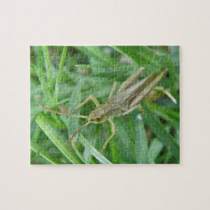 Rompecabezas de Grasshopper