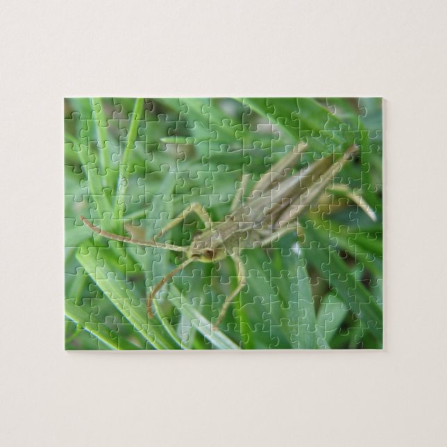 Rompecabezas de Grasshopper (Horizontal)