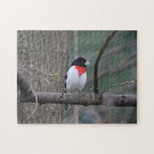 Rompecabezas de Grosbeak