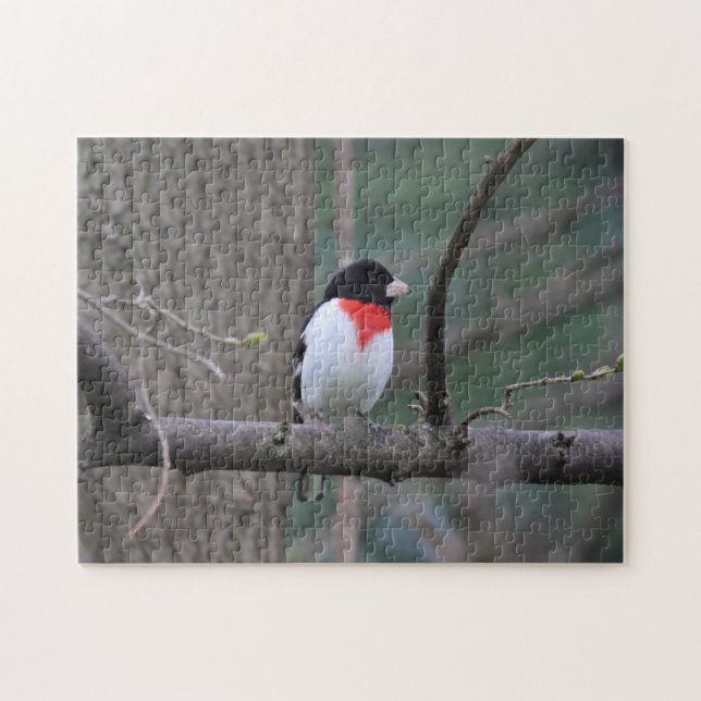 Rompecabezas de Grosbeak (Horizontal)