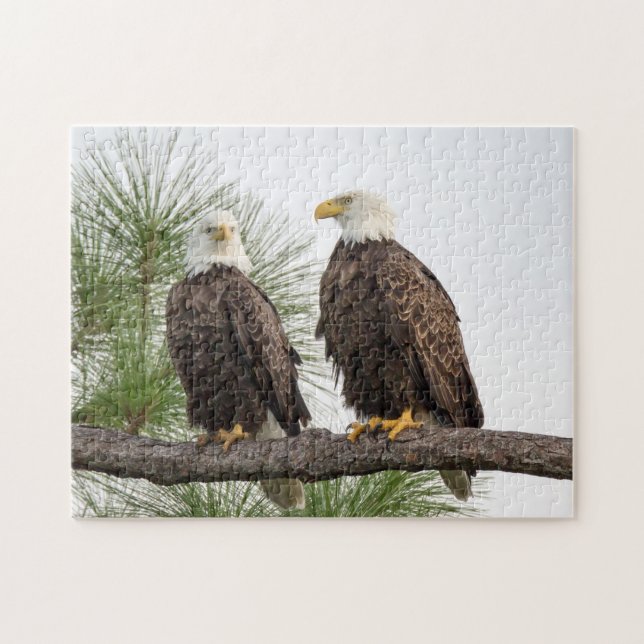 Rompecabezas de H&O (Horizontal)