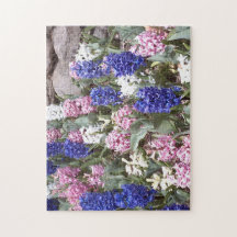 Rompecabezas de hermosos jacintos de primavera