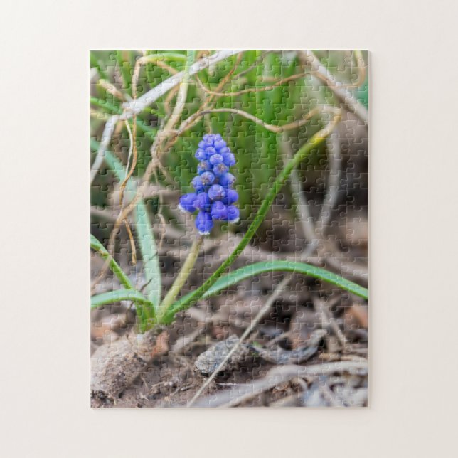 Rompecabezas de Hiacinth Jigsaw (Vertical)