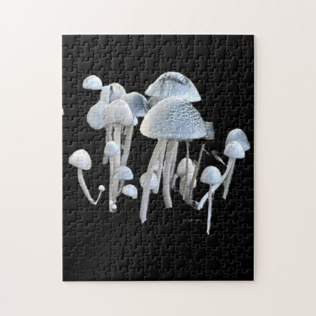 Rompecabezas de Hongos (Vertical)