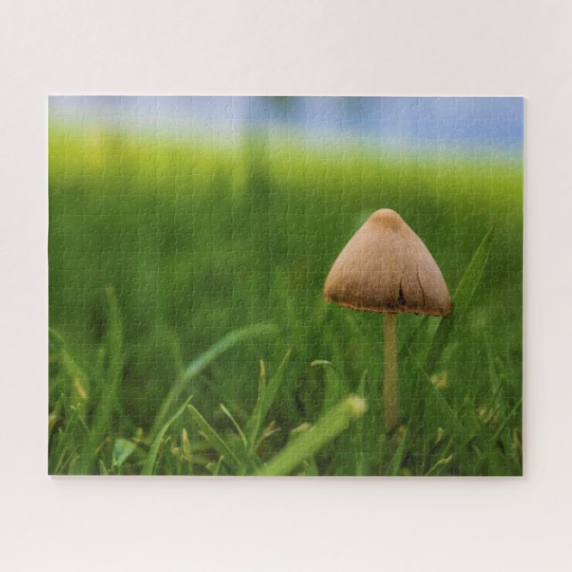 Rompecabezas de hongos muy desafiantes (Horizontal)
