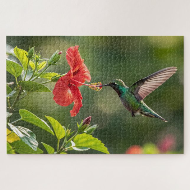 Rompecabezas de Hummingbird Hibiscus - Vibrante ar (Horizontal)