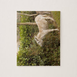 Rompecabezas de itinerancia de la foto del nuevo