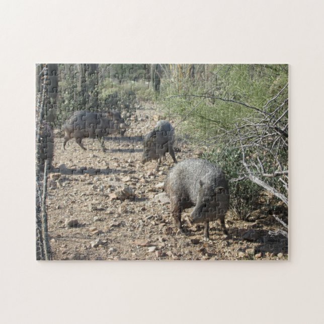 Rompecabezas de Javelina (Horizontal)