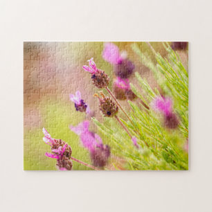 Rompecabezas de jigsaw con flores de lavanda franc