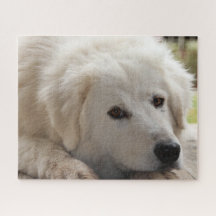 Rompecabezas de Jigsaw del perro guardián del gana