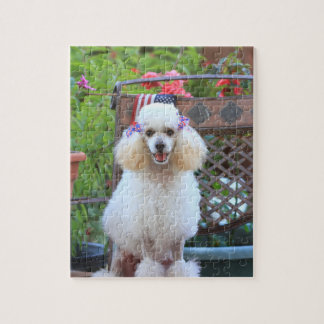 Rompecabezas de Jigsaw en el perro de poodle