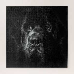 Rompecabezas de Jigsaw, perro de Terranova