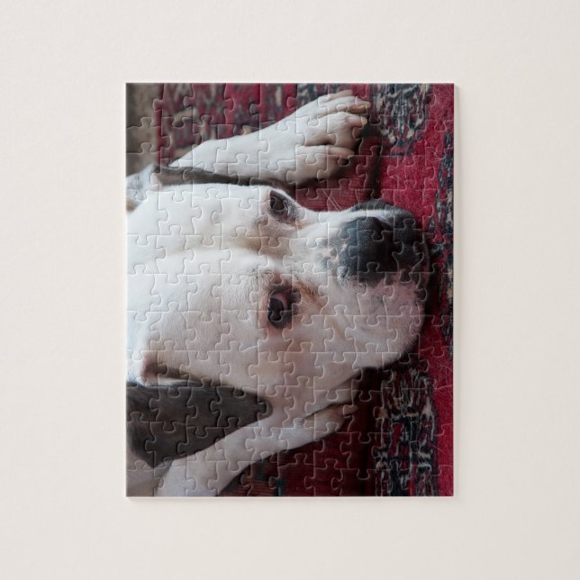 Rompecabezas de Jigsaw: Perro del Boxer Blanco (Vertical)