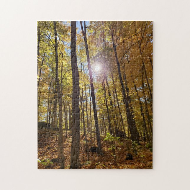 Rompecabezas de Jigsaw - Sunshine Through Fall Woo (Vertical)