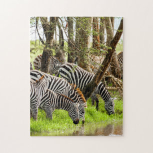 Rompecabezas de jigsaw Zebras a orillas del río