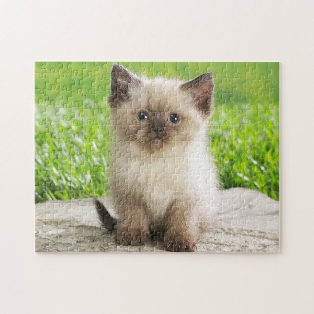 Rompecabezas de juego de Kitten (Horizontal)