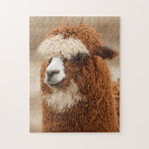 Rompecabezas de la alpaca